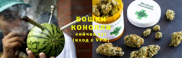 дмт Белокуриха