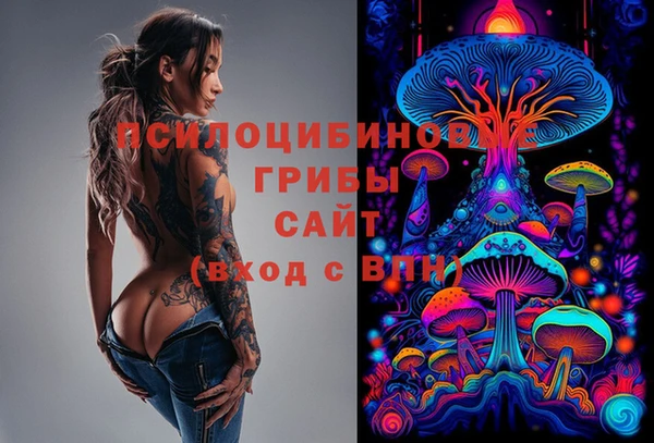 дмт Белокуриха