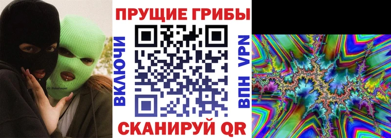 Псилоцибиновые грибы ЛСД  Елизово 