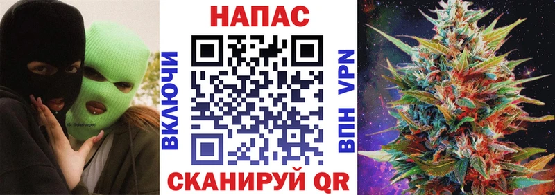 KRAKEN ССЫЛКА  Елизово  Шишки марихуана сатива 